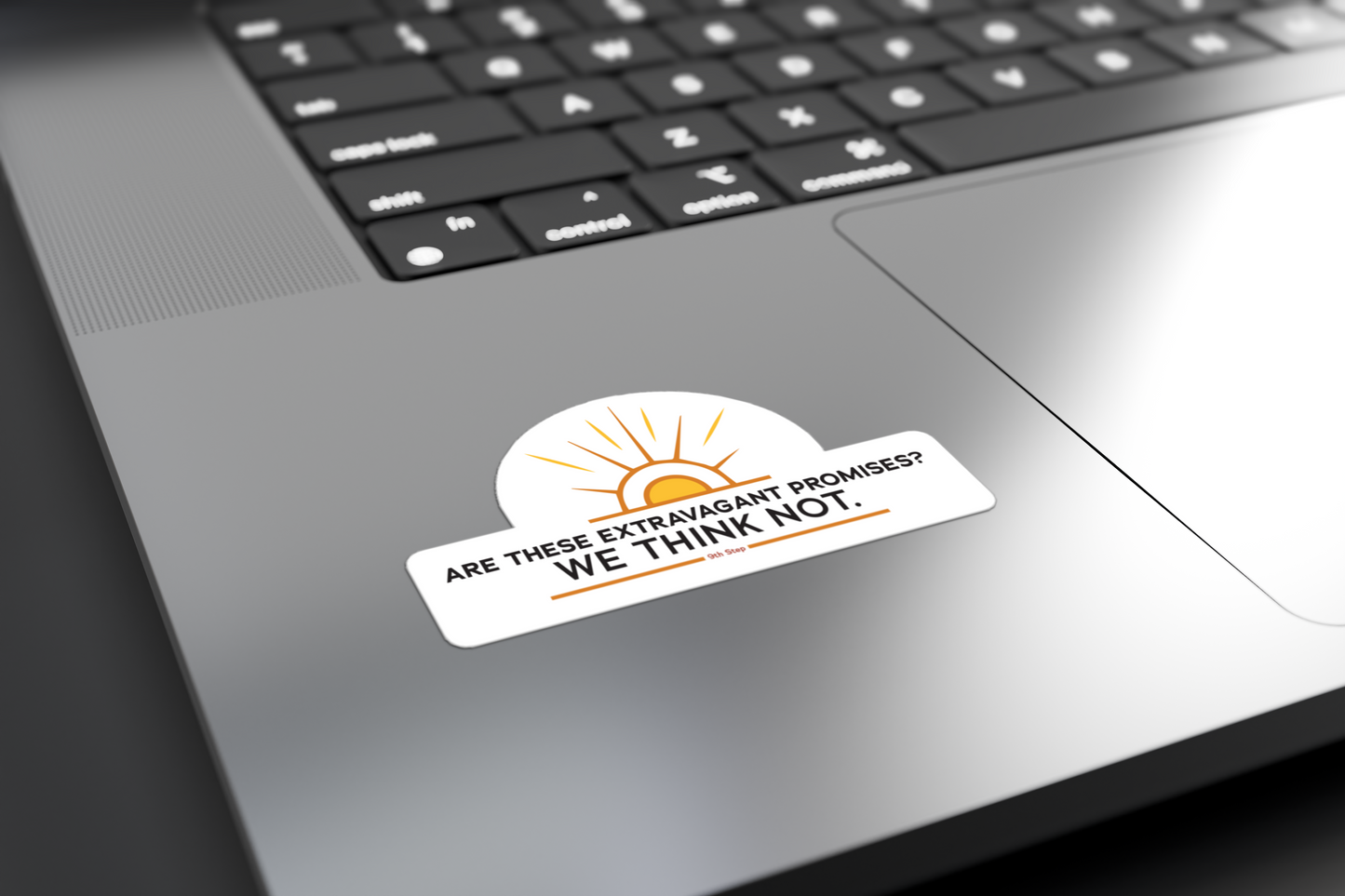 Are these Extravagant Promises? We Think Not. - Sticker