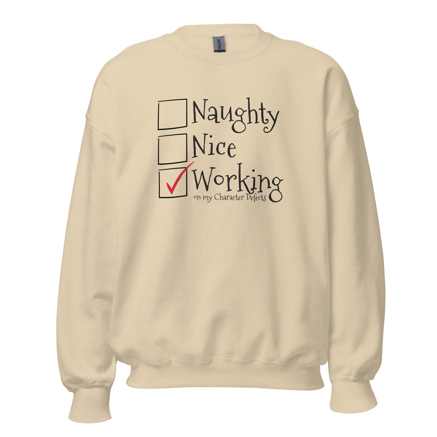 Naughty Nice Working On My Character Defects