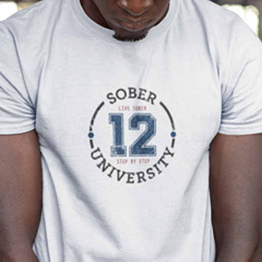 Sober University - 12 Steps